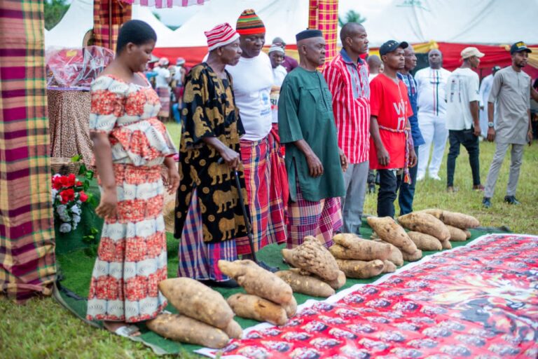 New Yam Festival: Meaning, Traditions & How to Own a Piece of African Culture