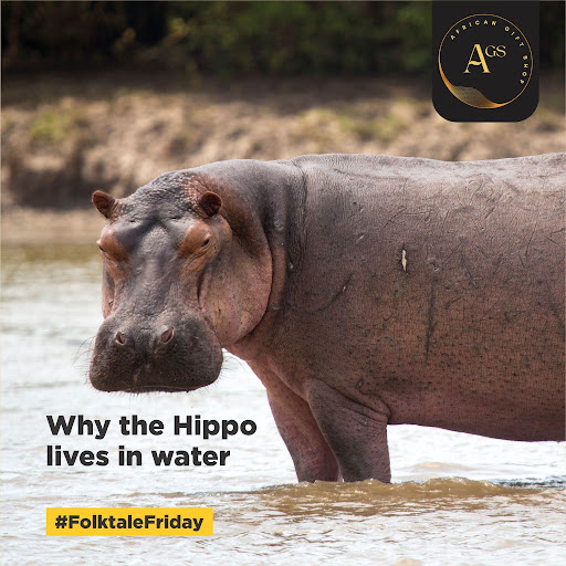 Why The Hippo Lives in Water